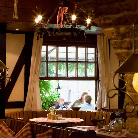 林德沃特酒店 3* 吕德斯海姆